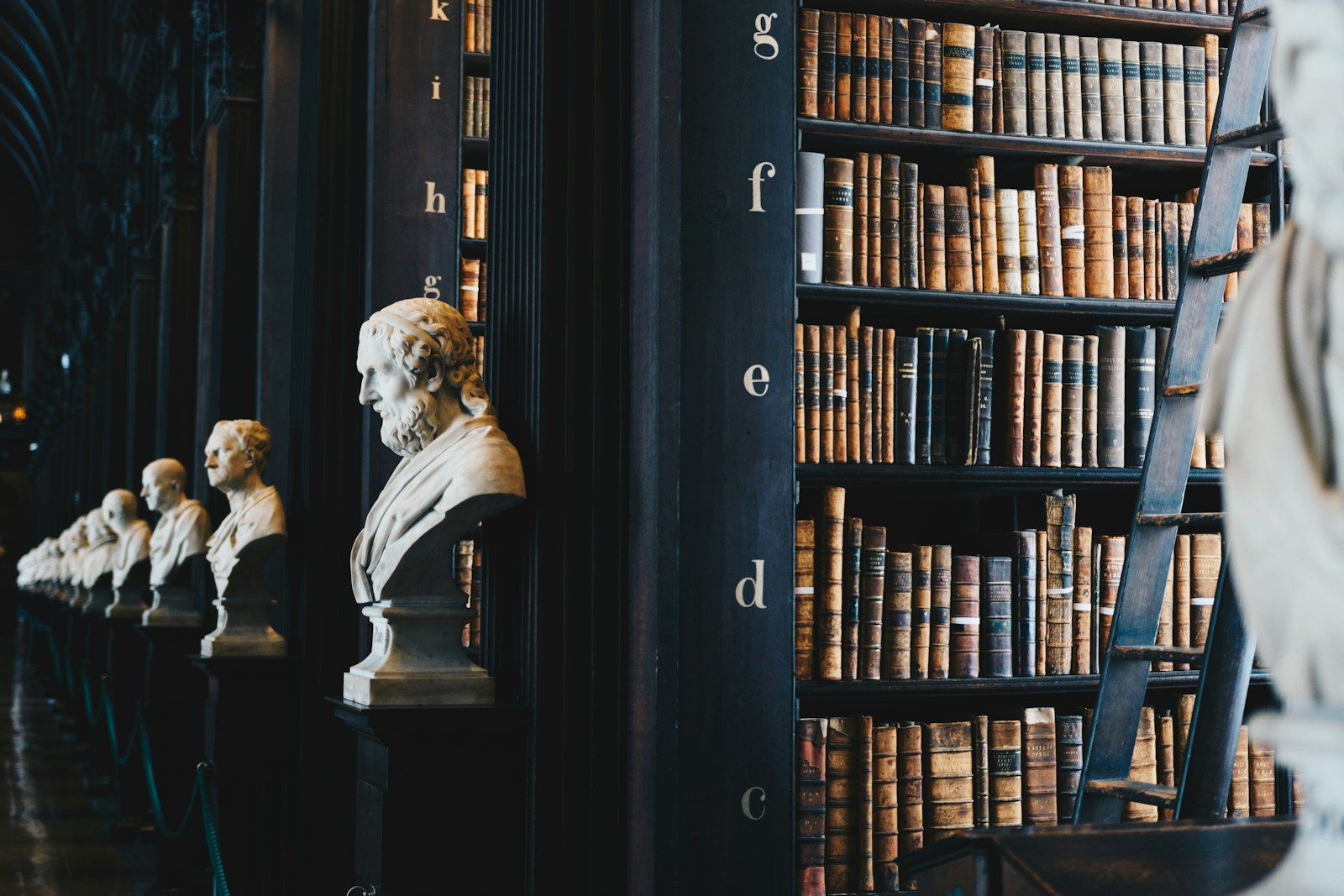 lot de livres sur une étagère en bois noir